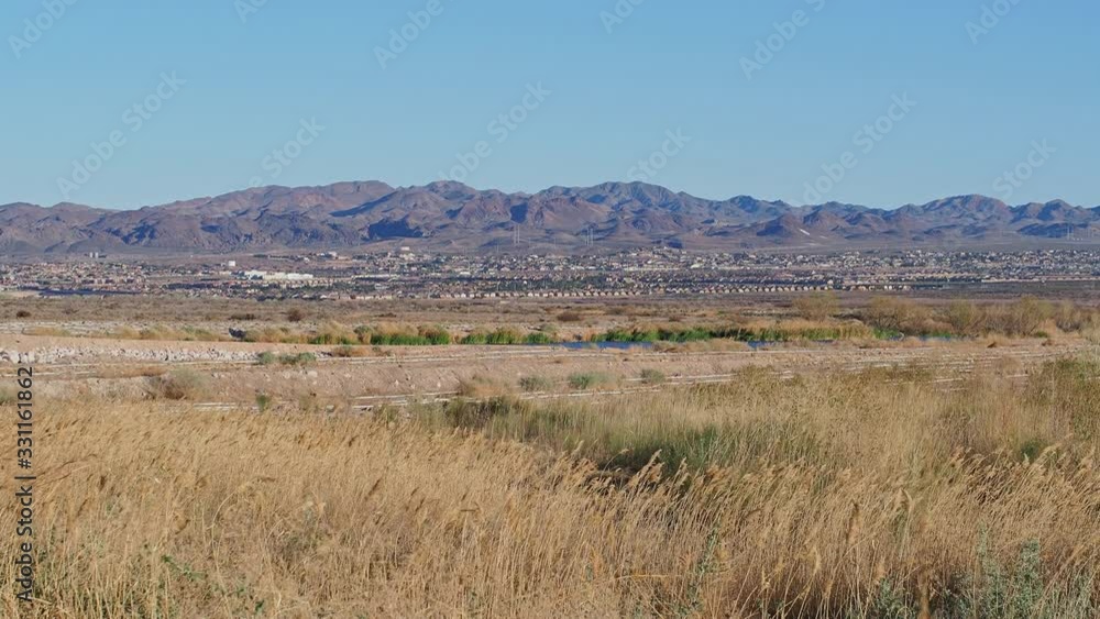 Nature scene of the Wetlands Park Nature scene of the Wetlands Park