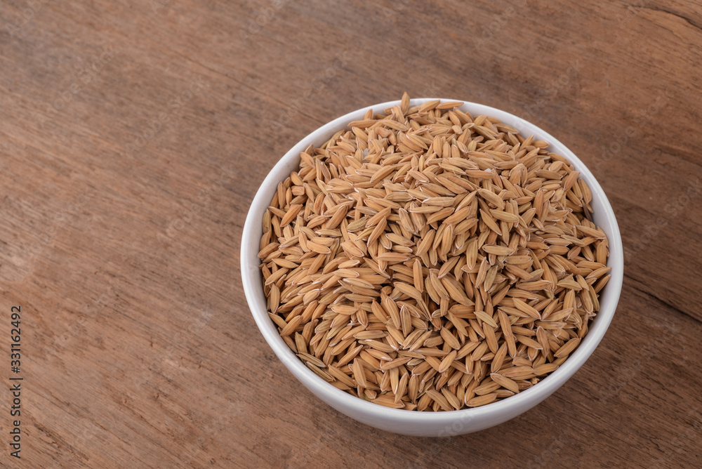 rice plants, grains of Thai jasmine rice rice plants, grains of Thai jasmine rice