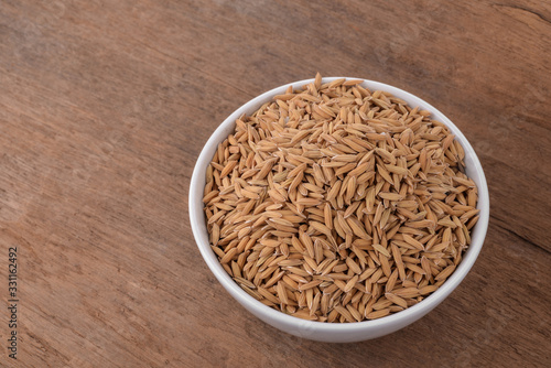 rice plants, grains of Thai jasmine rice