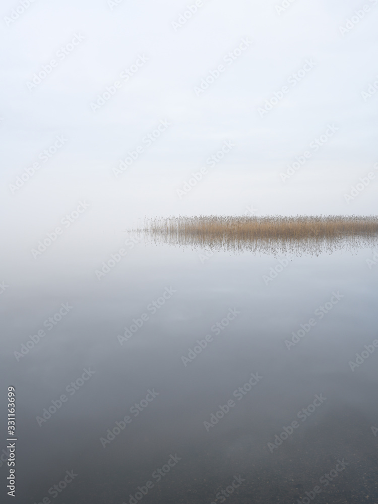 Foggy landscape with calm lake. Mist over water. Foggy air. Early chilly morning in autumn. Beautiful freedom moment and peaceful atmosphere in nature.