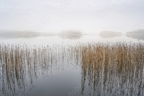 Foggy landscape with calm lake. Mist over water. Foggy air. Early chilly morning in autumn. Beautiful freedom moment and peaceful atmosphere in nature.