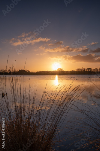 Silhouettes landscape view sunset at a lake  water reflection  birds in silhouttes in the water  moved grass in the foreground Fochteloerveen  The Netherlands