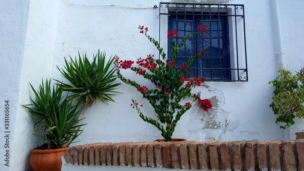 Fototapeta premium pueblos blancos 4