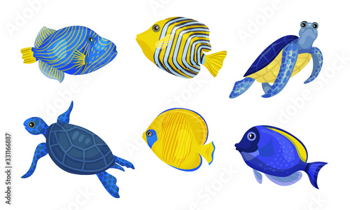 Exotic Fish and Turtles with Bright Colouring Vector Set