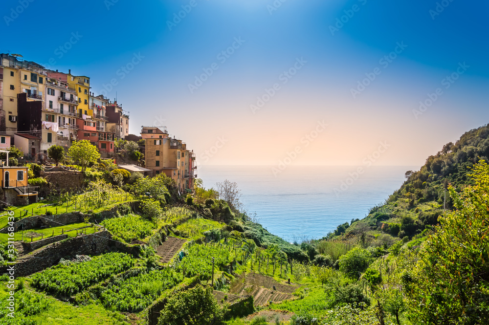 Corniglia, Cinque Terre - beautiful village with colorful buildings and terraces on cliff over sea. Cinque Terre National Park with rugged coastline is famous tourist destination in Liguria, Italy