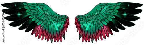 Beautiful bright glowing glittery green black red wings, vector
