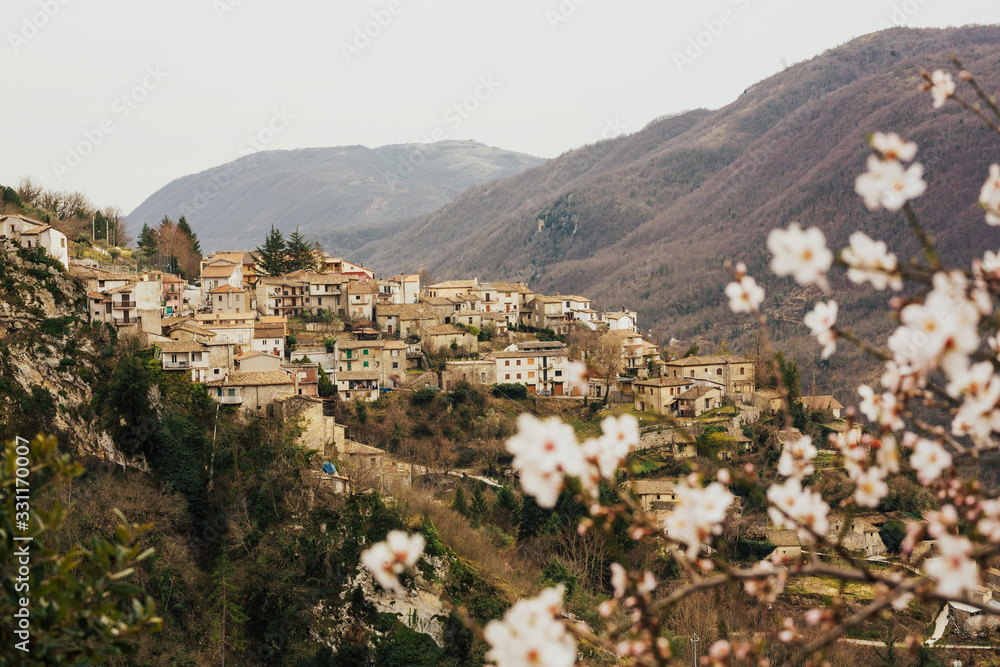 Italian nature, tree blooming, flowering in all its splendor in the spring in the village on the mountain. Charming spring  view with blooming tree and a country. 