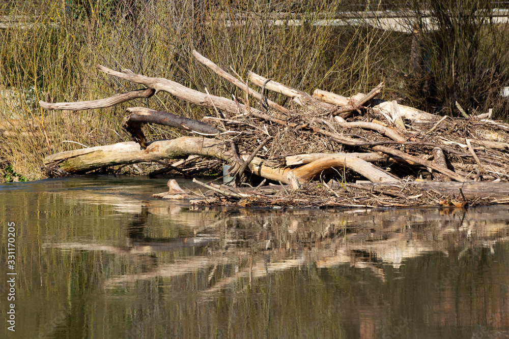 Natural dam made out of Branches and Rocks Natural dam made out of Branches and Rocks