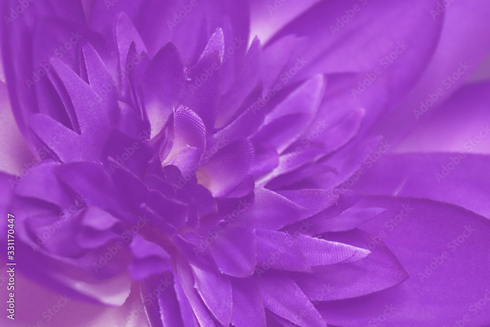 Obraz premium lotus flower