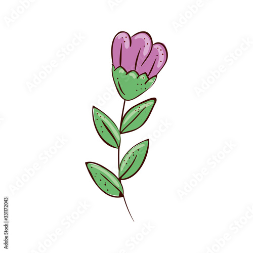 cute flower purple with branch and leafs vector illustration design