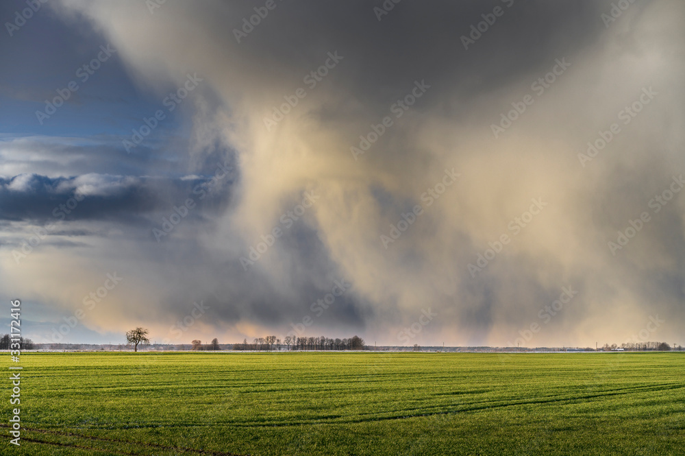 Storm cloud formation during sunset , large green field in foreground. Storm cloud formation during sunset , large green field in foreground.