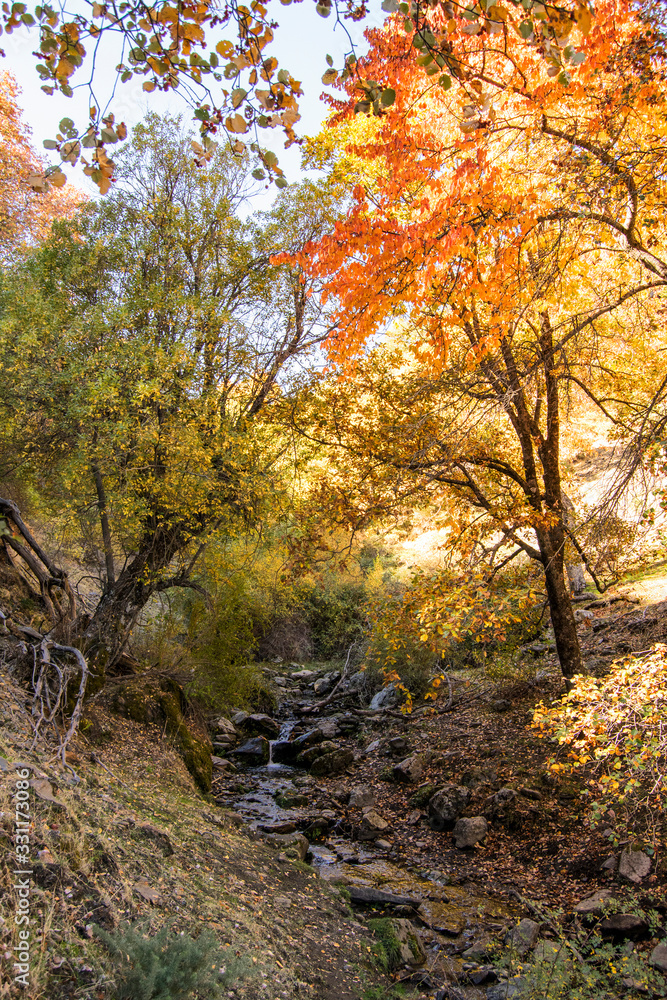 Obraz premium Sierra Nevada