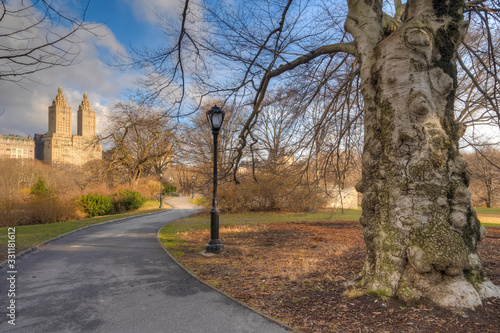 Central Park in winter