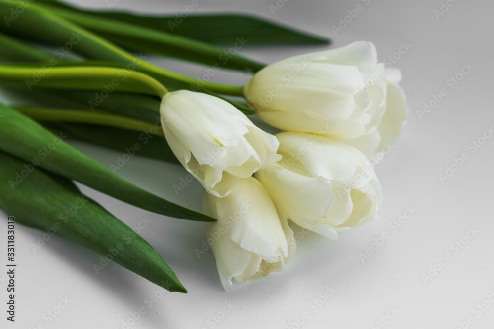 Five white tulips lie on a white background