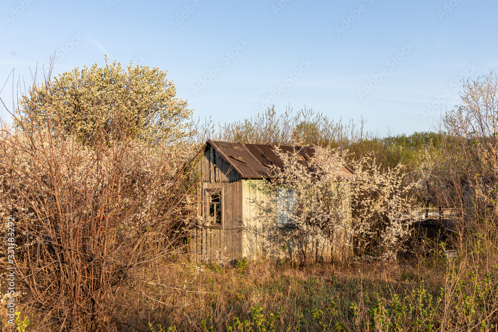 Fototapeta premium abandoned farm house