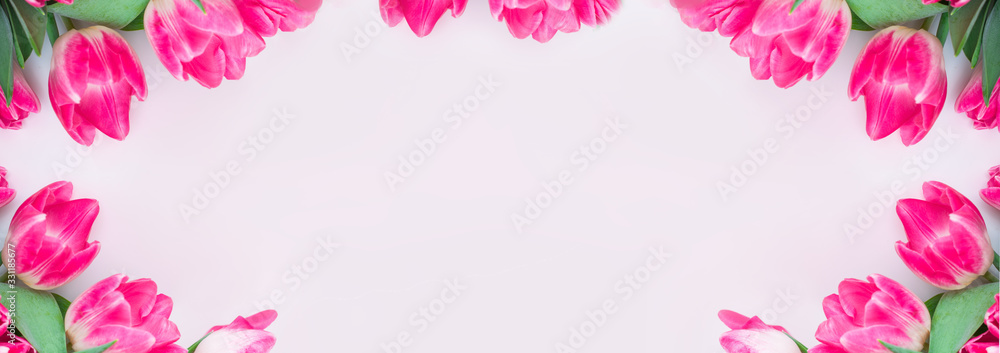 Flower spring banner. Card with pink tulips on a white background