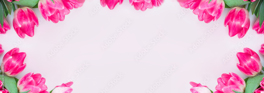 Flower spring banner. Card with pink tulips on a white background Flower spring banner. Card with pink tulips on a white background