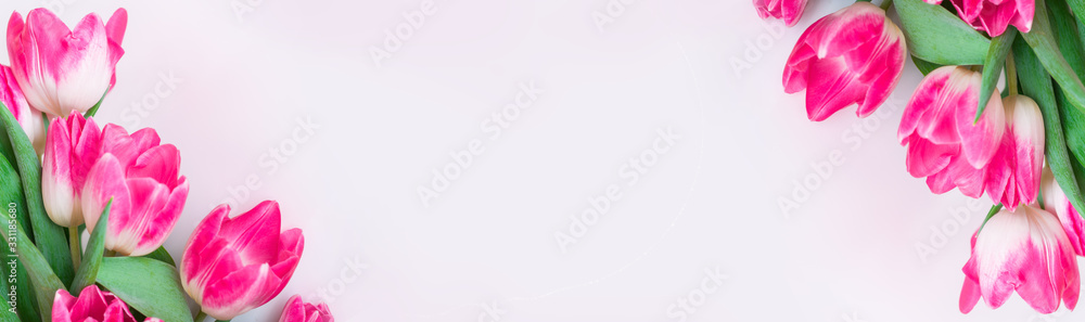 Flower spring banner. Card with pink tulips on a white background Flower spring banner. Card with pink tulips on a white background