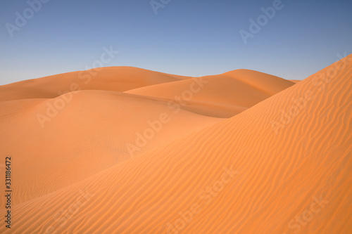 Abstract landscape with desert dunes on a sunny day. Liwa desert  Abu Dhabi  United Arab Emirates.