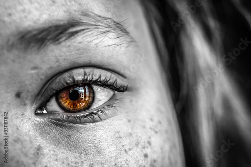 Brown eyes - a close-up shot