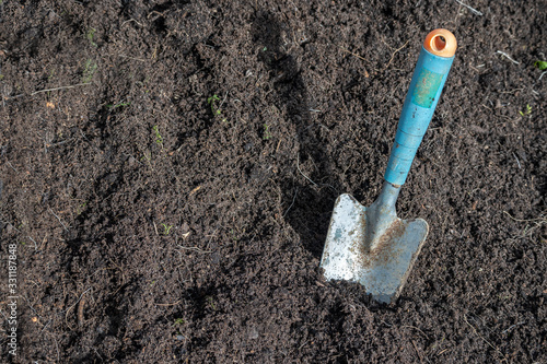 planting shovel in the ground, gardening preparation of a bed in spring time on a sunny day