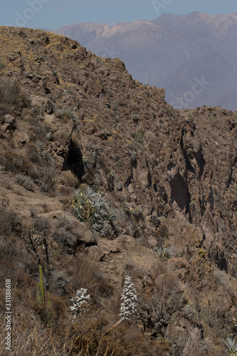 Colca canyon Peru. Mountains