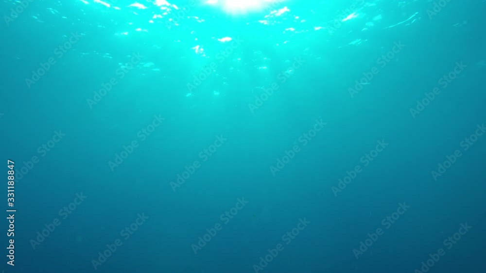Underwater sunlight in blue ocean video Underwater sunlight in blue ocean video