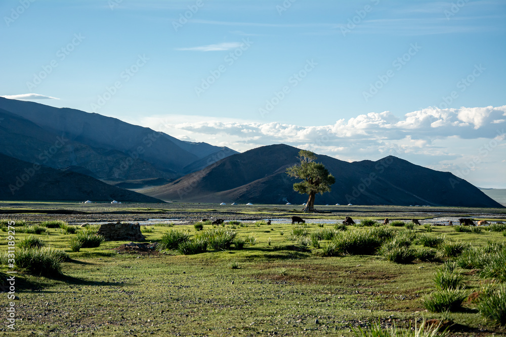 The view of the mountain range, Mongolian landscapes of Altai. Dry mountainsides, summer sunny view. The view of the mountain range, Mongolian landscapes of Altai. Dry mountainsides, summer sunny view.