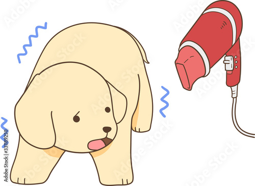 ゴールデンレトリバーの子犬（ドライヤーを怖がる）