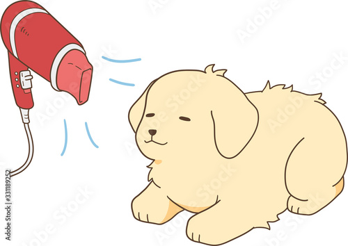 ゴールデンレトリバーの子犬（ドライヤー）