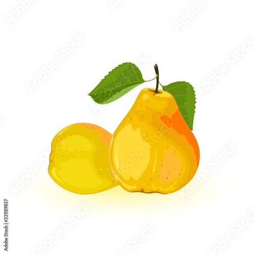 Two ripe yellow pears with green leaves. Summer sweet juicy snack. Delicious fruit. Ingredient using for vegan, vegetarian dishes. Vector illustration isolated on white background.