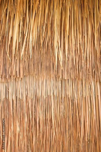 Dried brown grass background, decorate to be wallpaper