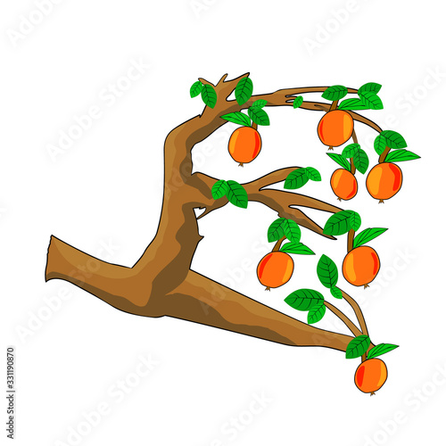 Apples on tree branch with green leaves isolated on white background. Cartoon style drawing of hanging fruit on branches. For seasonal elements, product packaging, banner design. Stock vector