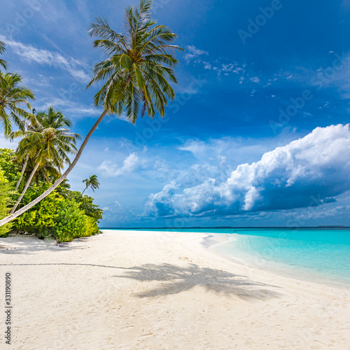 Luxury beach landscape  tropical nature pattern. Amazing palm trees over white sand with blue sky. Idyllic beach nature  inspirational view for summer vacation or holiday concept