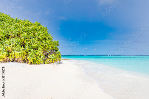 Tropical beach and sea with mangrove