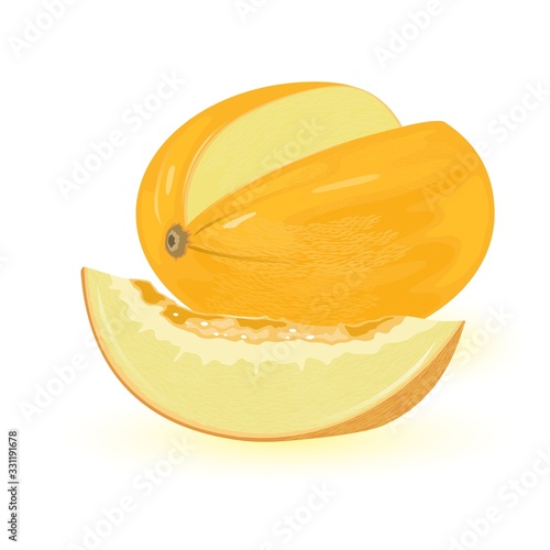 Yellow oval shaped melon with slice of it. Sweet edible fleshy fruit with seeds. Delicious summer snack. Vector illustration isolated on white for farm market label, menu, cookbook, packing design.