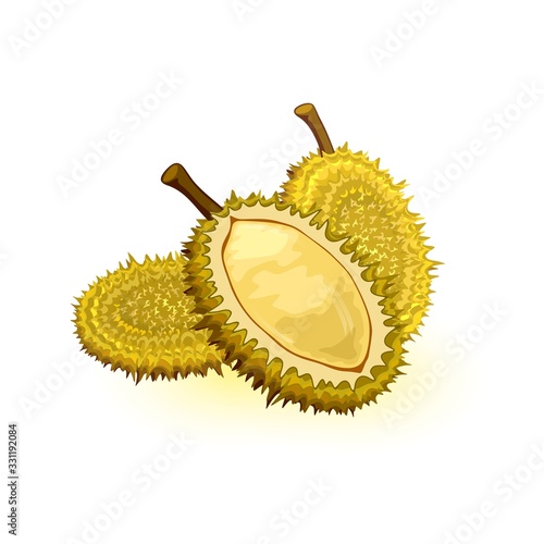Durian with round shape, greenish-brown husk colour and pale yellow tasty flesh. Edible fruit with large size, strong unpleasant odour and thorn-covered rind. Vector illustration isolated on white.