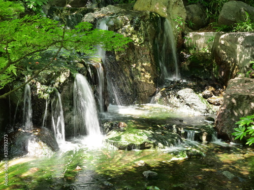 Some small waterfalls in the forest