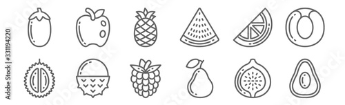 set of 12 fruits icons. outline thin line icons such as avocado, pear, lychee, orange, pineapple, apple