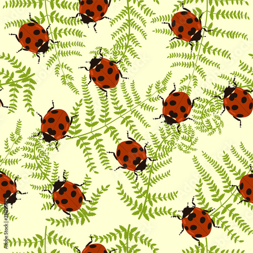 Seamless pattern with fern and ladybugs. Vector graphics.