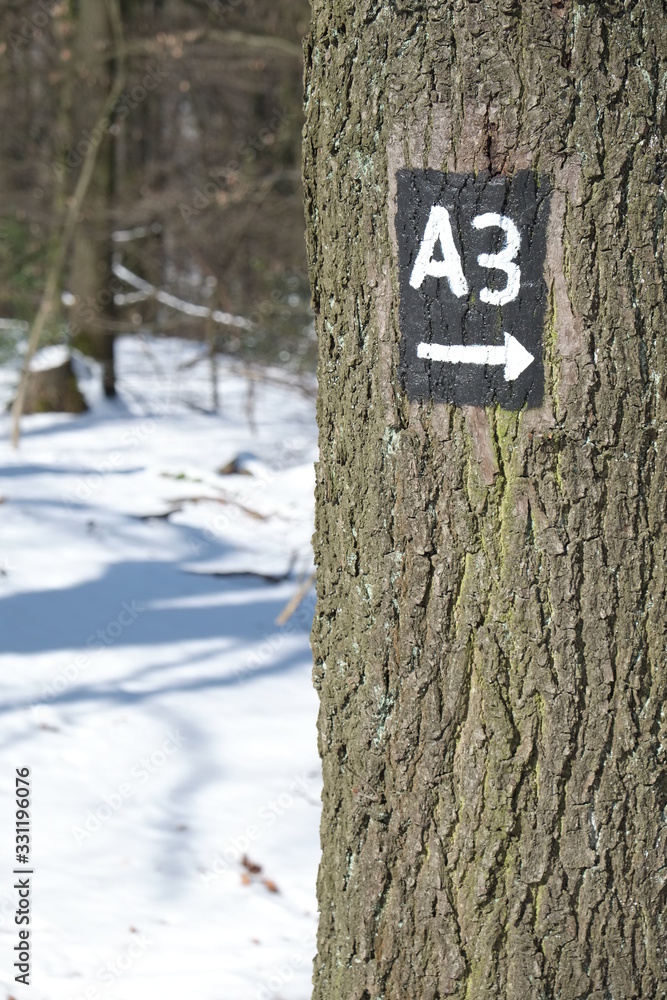 Fototapeta premium Trail for Hiking