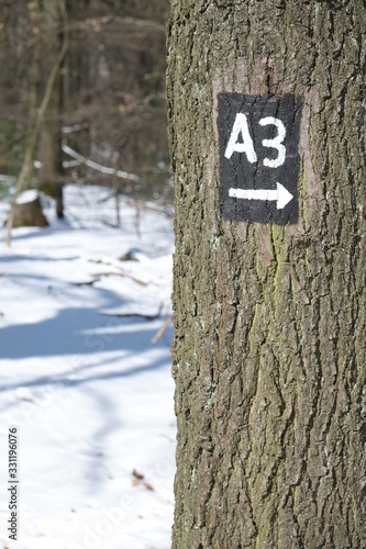 Trail for Hiking