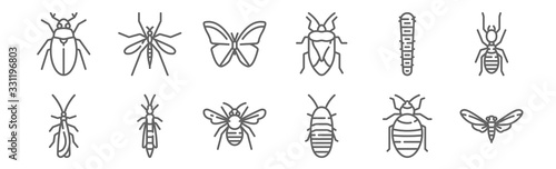 set of 12 insects icons. outline thin line icons such as bug, madagascar hissing cockroach, bug, caterpillar, butterfly, mosquito