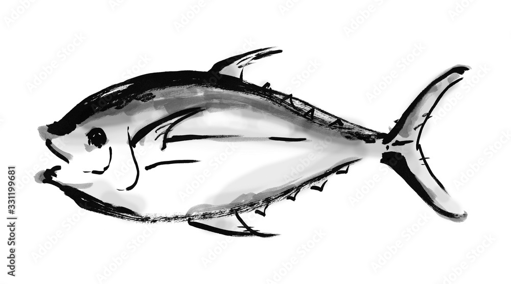 Fototapeta premium マグロ, 鮪, まぐろ, 魚, 魚類, ベクター, キハダマグロ, 黄肌マグロ, 赤身, 木肌鮪, キハダ鮪, キハダまぐろ, 木肌マグロ, 刺身, 海鮮, 生, 白バック, 白背景, 手描き, 手書き, 筆書き, 筆描き, カット, 挿絵, 素材, イラスト, イラストレーション, 墨絵, 和食, 品種, 目鉢, 魚介類, 食材, スシネタ, 全体