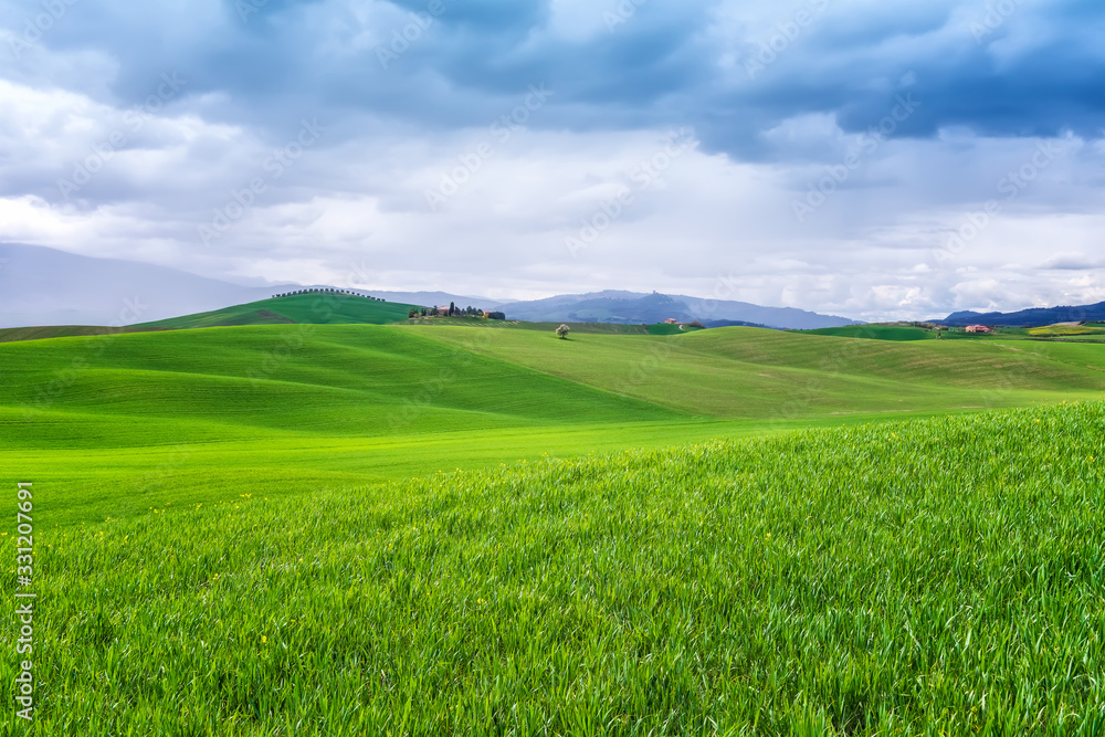 Fototapeta premium Amazing spring landscape with green rolling hills and farm houses in the heart of Tuscany in morning