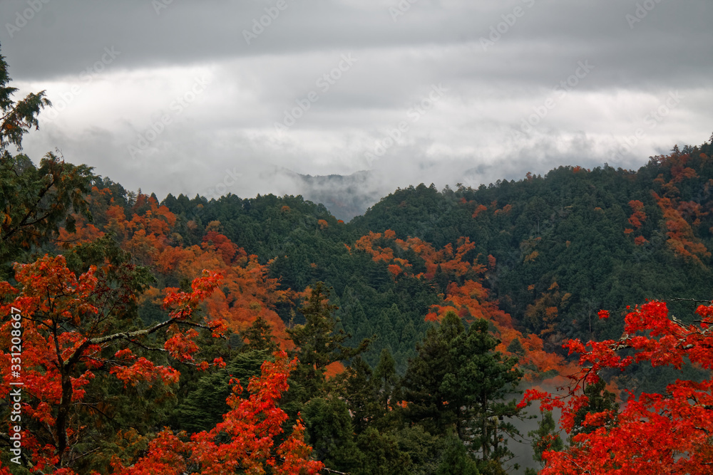Japan autumn landscape. Colorful leaves and stream in Japan Japan autumn landscape. Colorful leaves and stream in Japan
