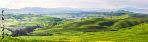 Amazing Tuscany panoramic landscape with green rolling hills in spring sunny morning