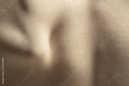 Spine. Detailed texture of human skin. Close up shot of young caucasian female body. Skincare, bodycare, healthcare, hygiene and medicine concept. Looks beauty and well-kept. Dermatology. © master1305