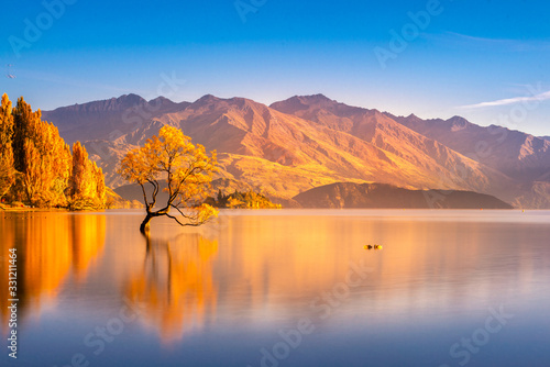 Beautiful tree inside the Lake Wanaka, New Zealand. © weerasak