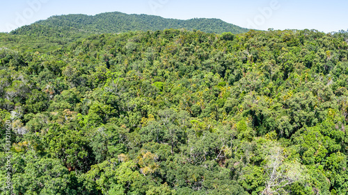 Tropical Jungle Trees Roof Top Cable Car Panoramic Landscape